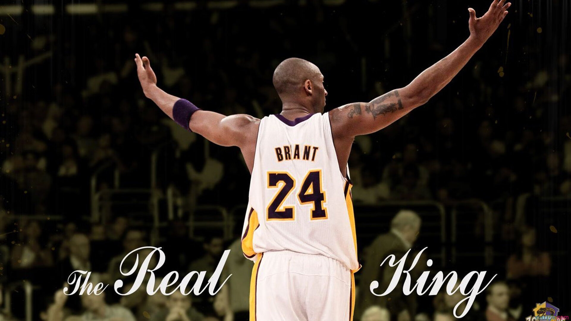 开云体育官网-决战绿茵之巅，布鲁诺关键进球定乾坤，世界排名争夺战之夜改写历史